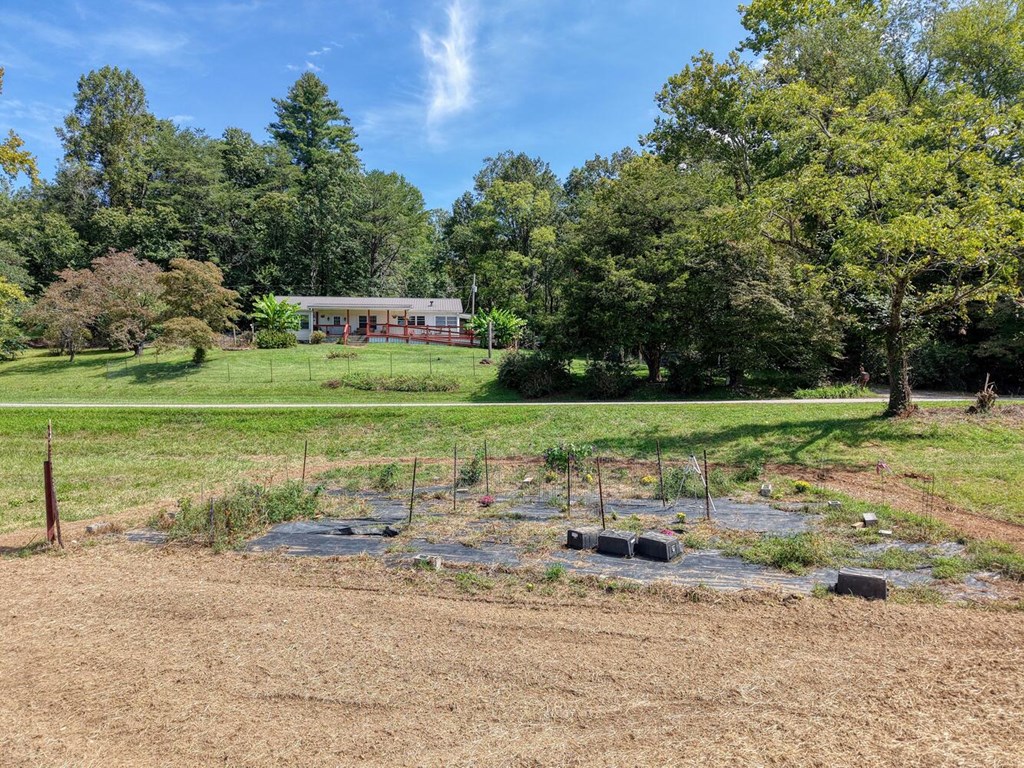 729 Collins Road Blairsville, GA 30512 - Photo 16 of 74