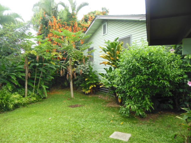 705 Haiku Road Haiku, HI 96708 - Photo 3 of 22 a backyard of a house with plants and large tree