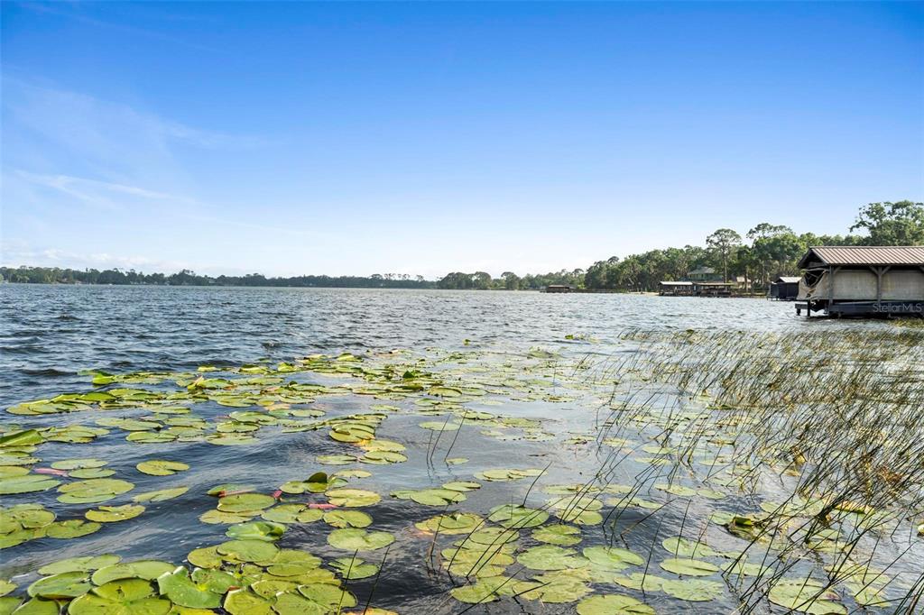 3005 Garden Road Eustis, FL 32726 - Photo 50 of 65