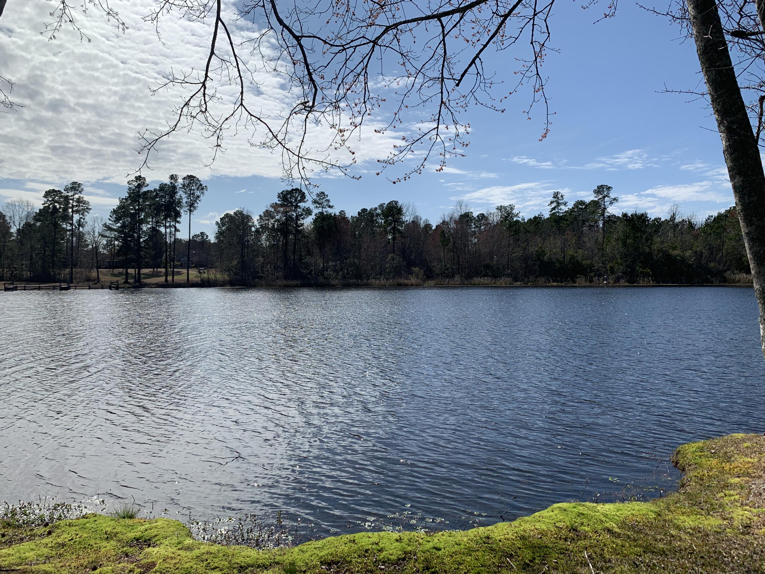 225 Ridge Lake Drive Manning, SC 29102 - Photo 2 of 39 IMG_1204