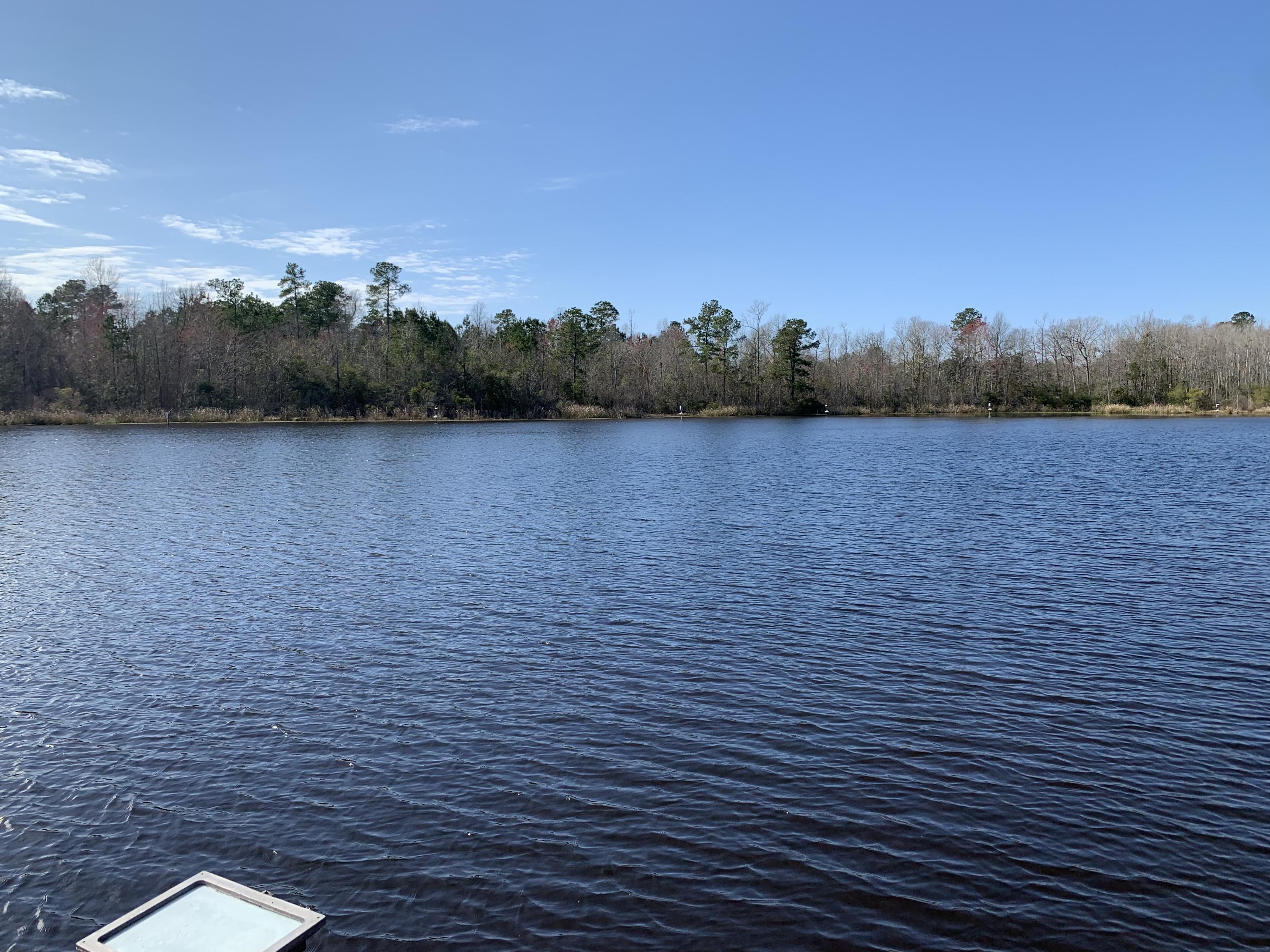 225 Ridge Lake Drive Manning, SC 29102 - Photo 29 of 39 IMG_1198