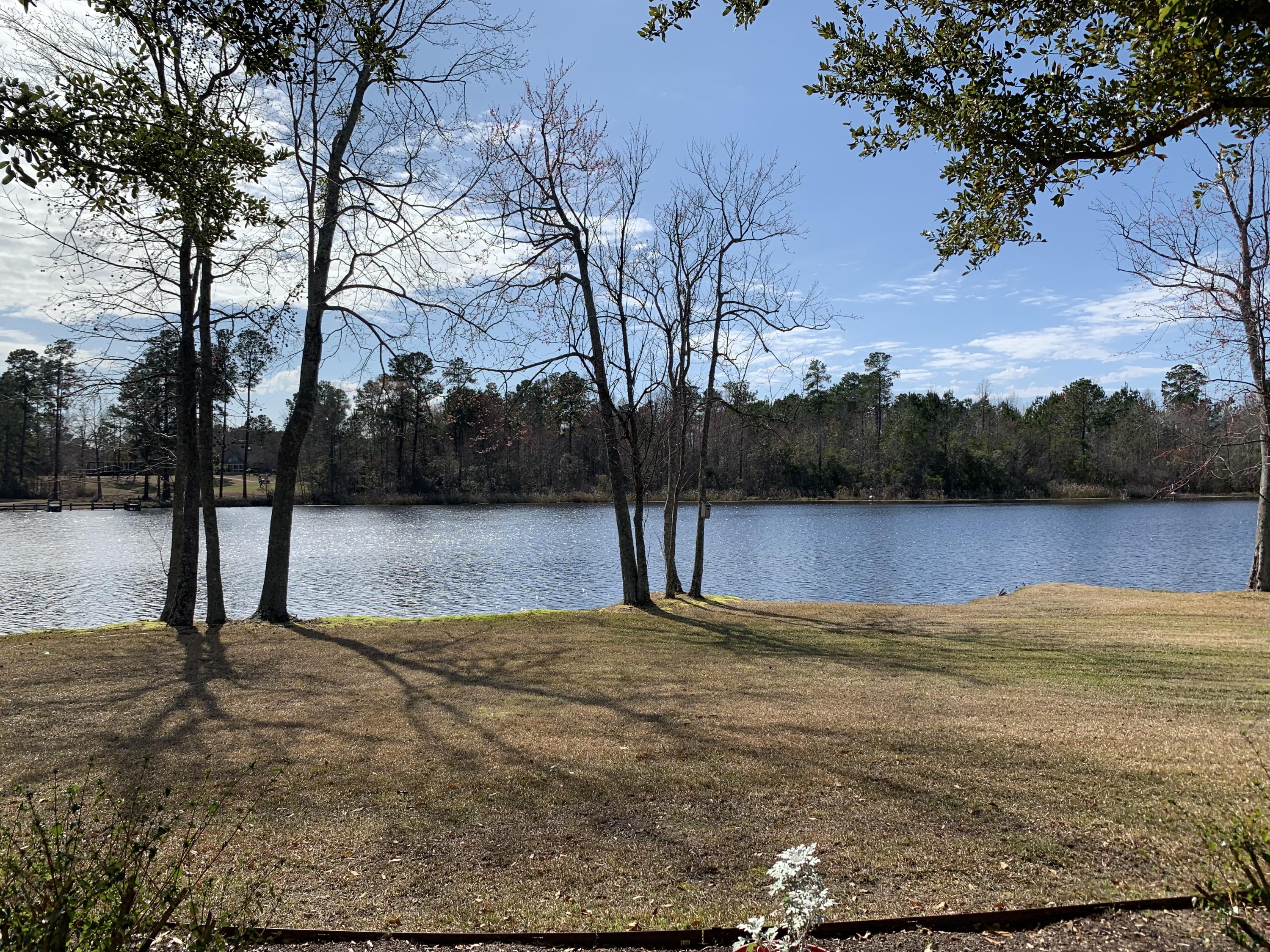 225 Ridge Lake Drive Manning, SC 29102 - Photo 31 of 39 IMG_1206