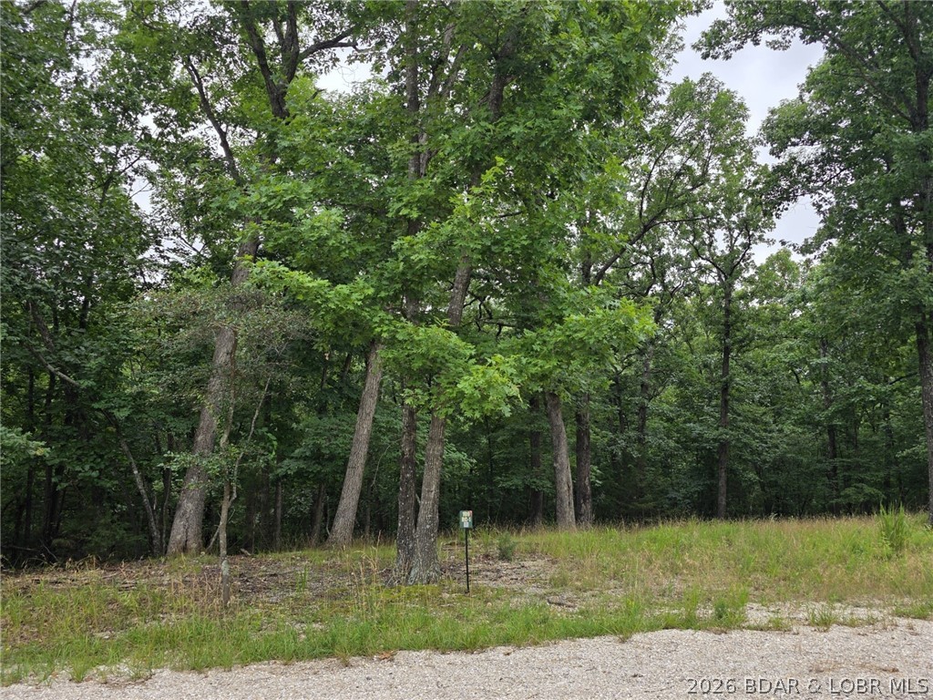 Lot 109 Terry Rd Lake Lake Ozark, MO 65049 - Photo 2 of 17