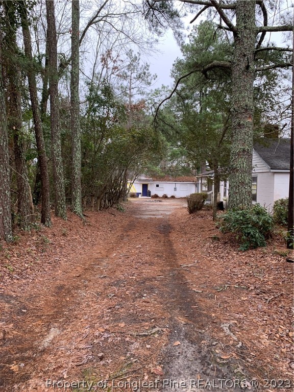 293 Army Road Raeford, NC 28376 - Photo 4 of 27