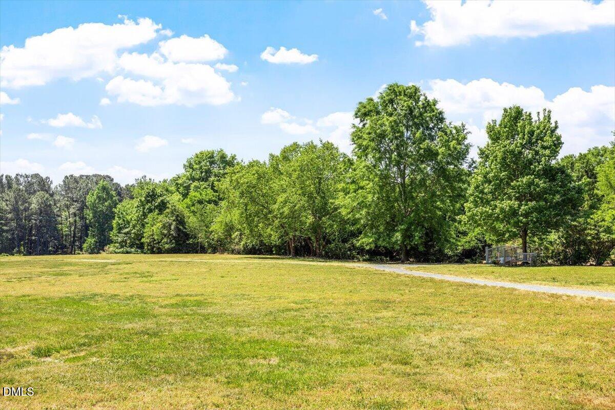 5508 Rutherford Cl Pittsboro, NC 27312 - Photo 56 of 56 42-Fearrington Village NA 17