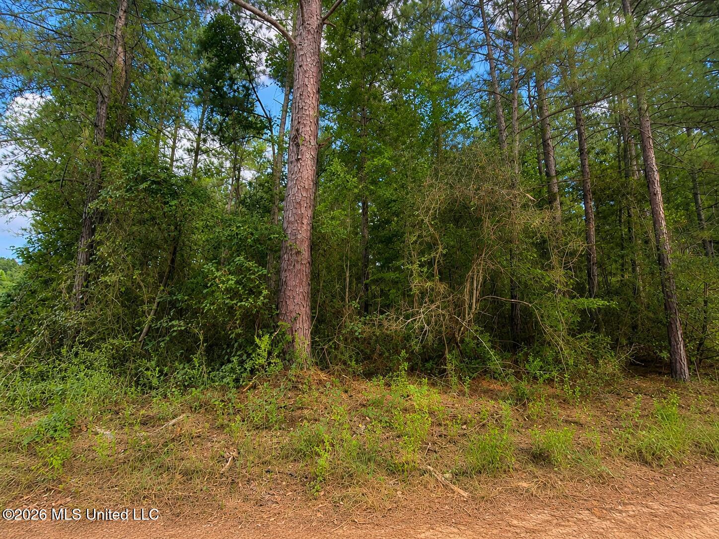 4.39-acres Man Moulds Road Lucedale, MS 39452 - Photo 6 of 15 land (7)