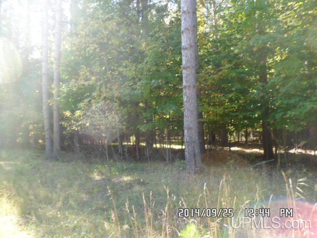 Tbd North Tbd N 75th Road Gladstone, MI 49837 - Photo 5 of 10