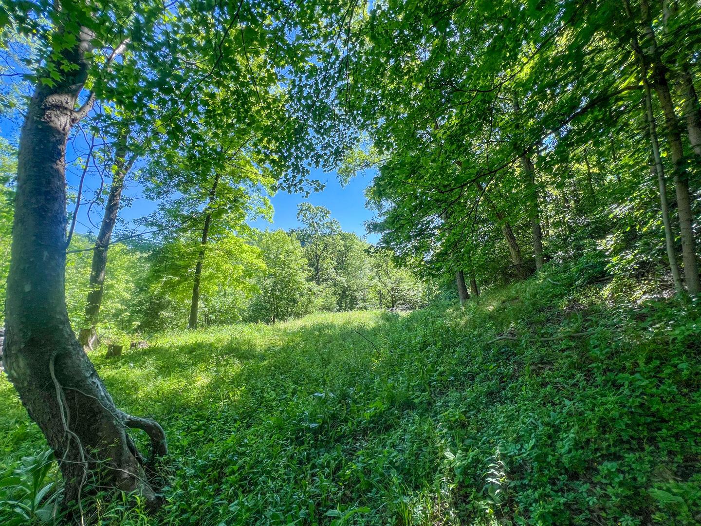 0 Rush Run Road Rayland, OH 43943 - Photo 17 of 24