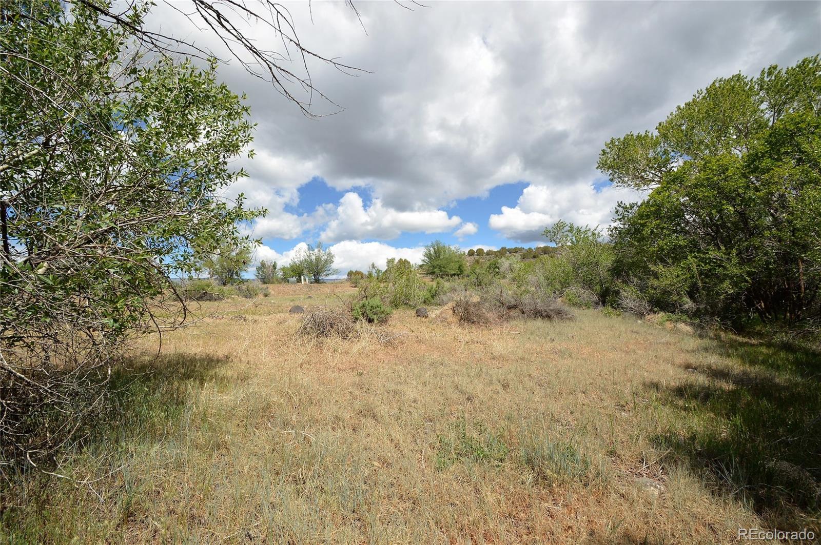 Lot 3 Willow Way Cedaredge, CO 81413 - Photo 4 of 10