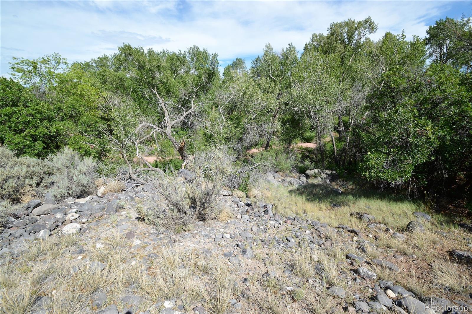 Lot 3 Willow Way Cedaredge, CO 81413 - Photo 5 of 10