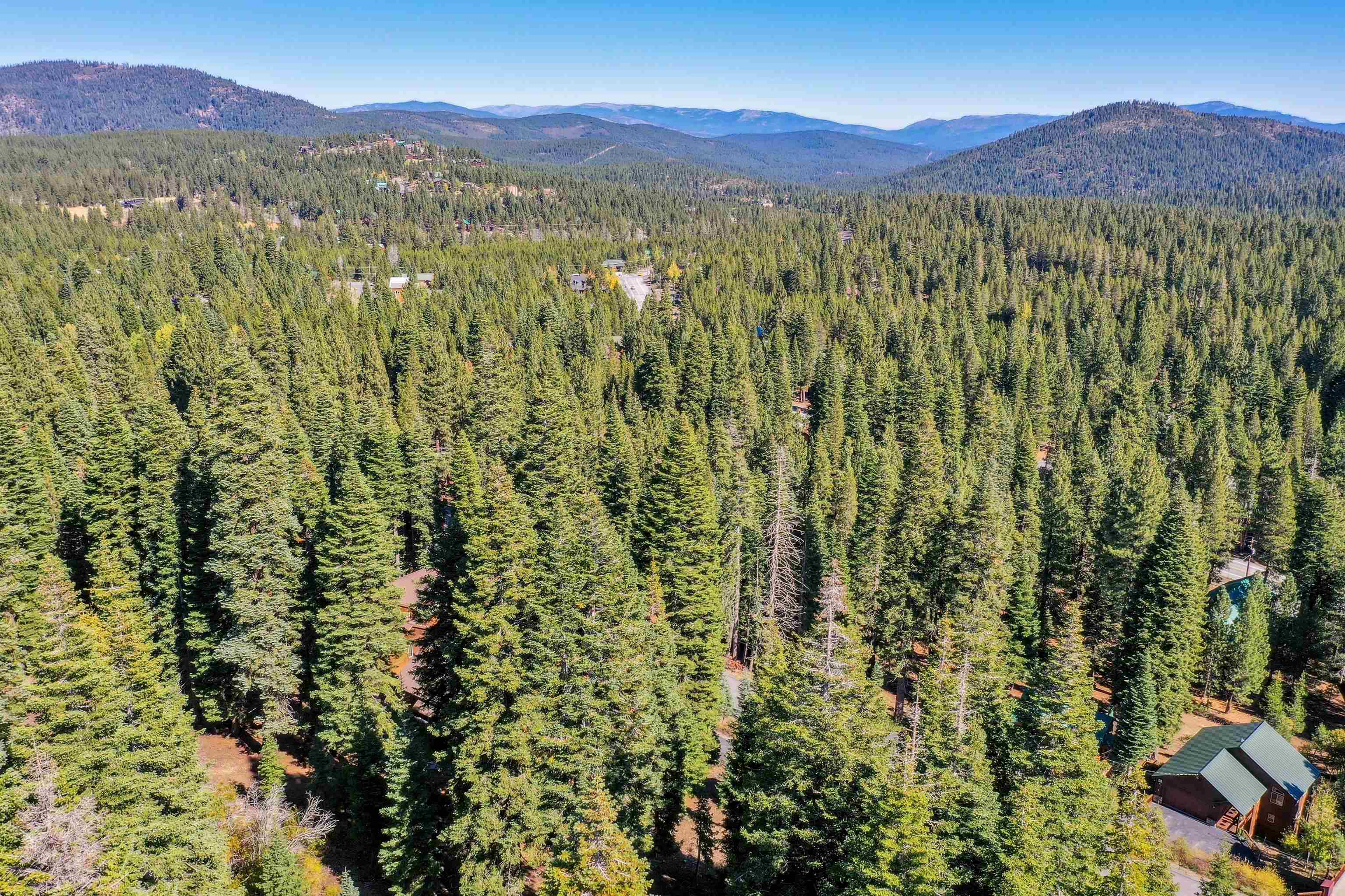 11926 Rhineland Avenue Truckee, CA 96161 - Photo 15 of 15 a view of a forest with a mountain