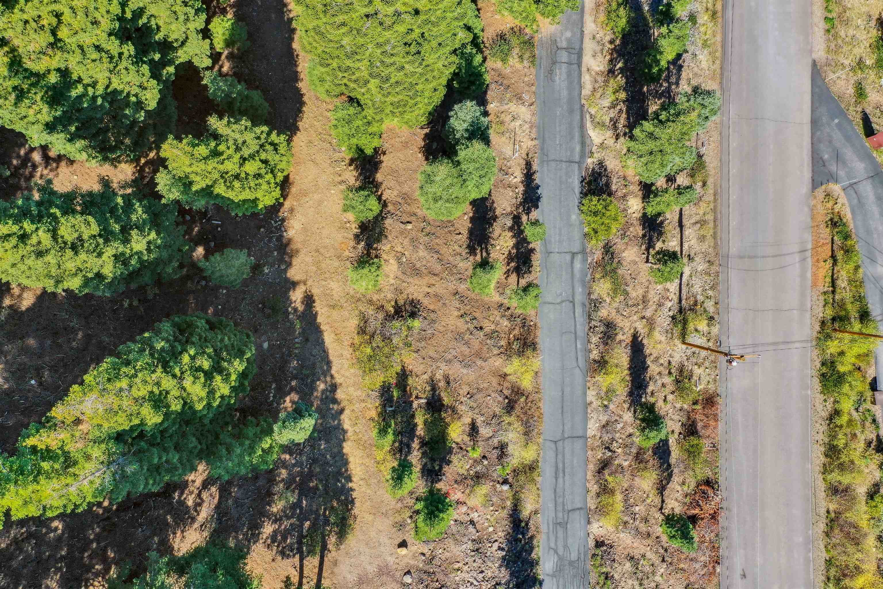 11926 Rhineland Avenue Truckee, CA 96161 - Photo 6 of 15