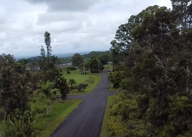 a view of a forest with a houses
