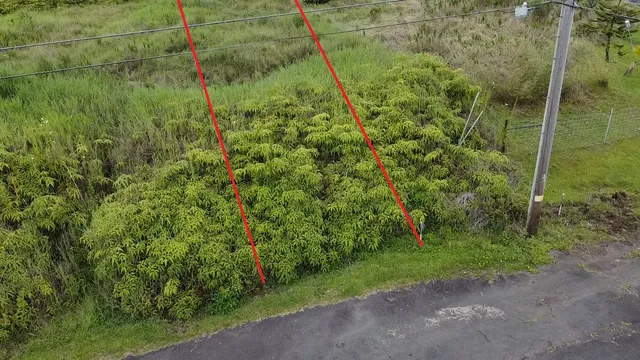 a view of a pathway of a building