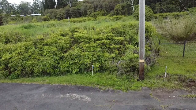 a view of a green field