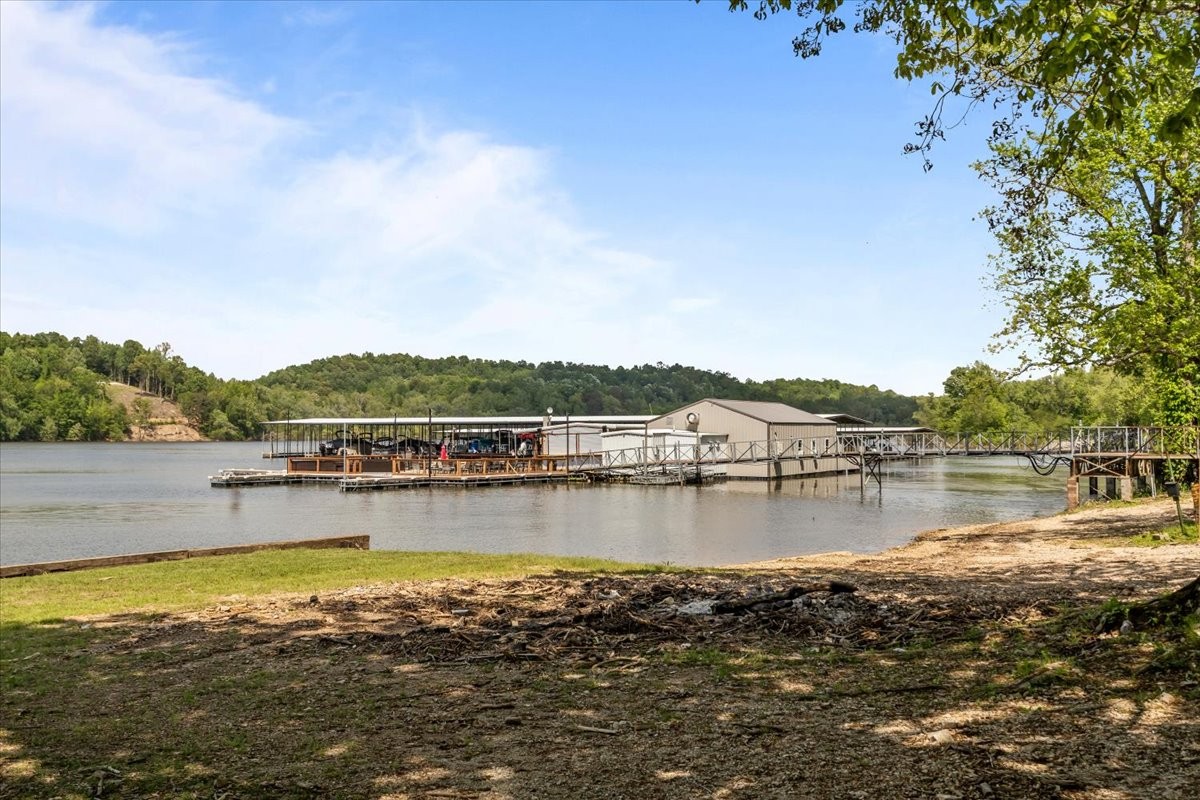 0 Western Road Waverly, TN 37185 - Photo 17 of 18