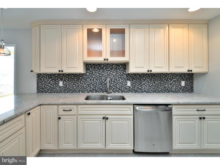 557 McCarty Drive Furlong, PA 18925 - Photo 9 of 24 Kitchen