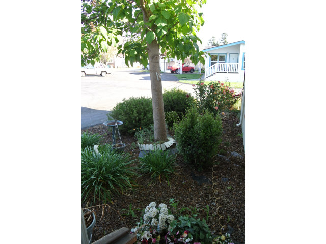 2900 Fairview Road, Unit 58 Hollister, CA 95023 - Photo 23 of 25 Gallery Image 23