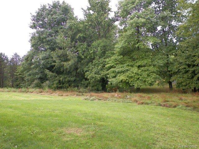 10348 Oak Road Millington, MI 48746 - Photo 16 of 21 262-158491 - Yard.JPG