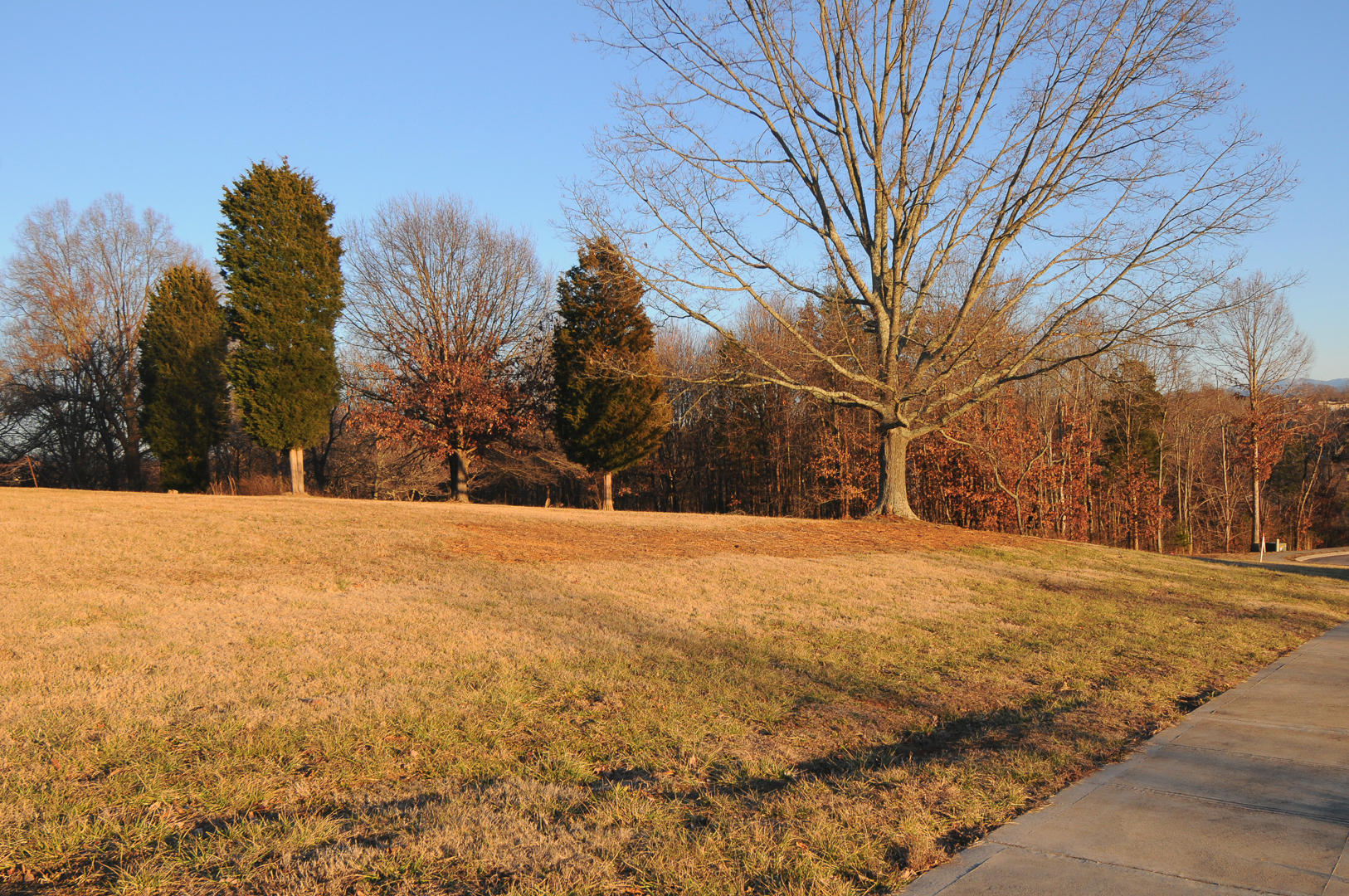Crest Road Maryville, TN 37804 - Photo 12 of 19 DSC_5299