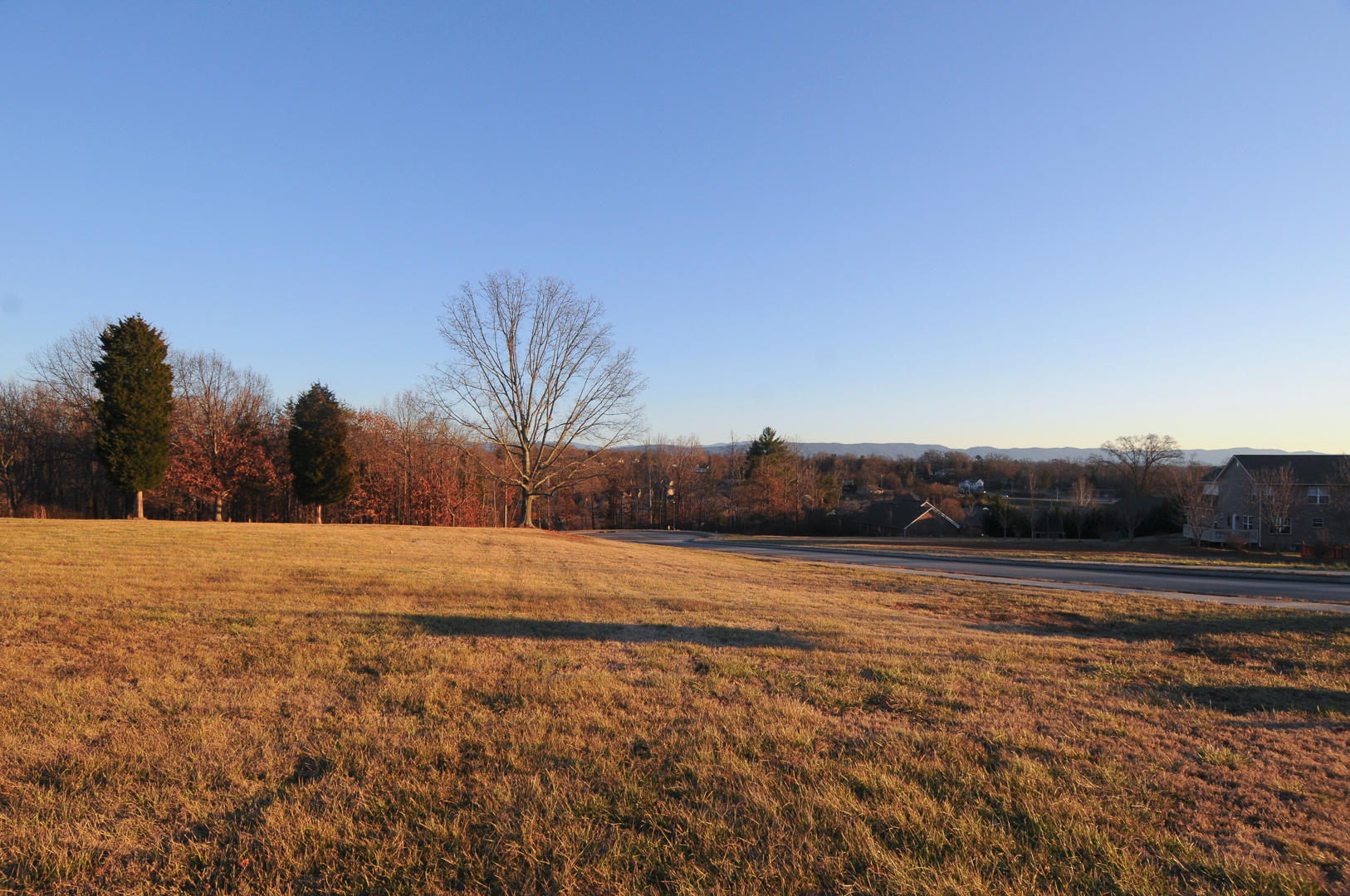 Crest Road Maryville, TN 37804 - Photo 8 of 19 Level Ground to build on