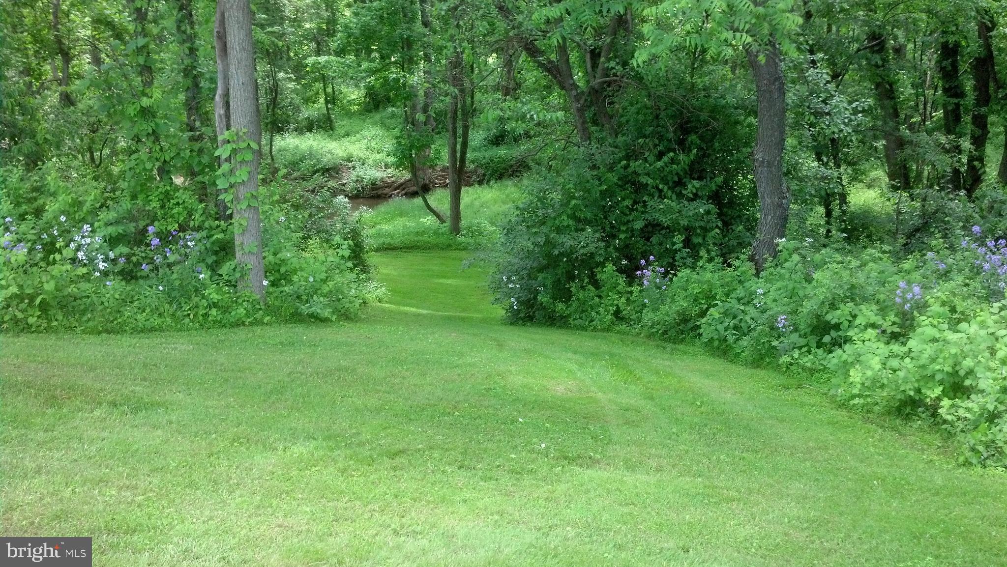 4602 East Berlin Road Thomasville, PA 17364 - Photo 36 of 42 Path down to creek.