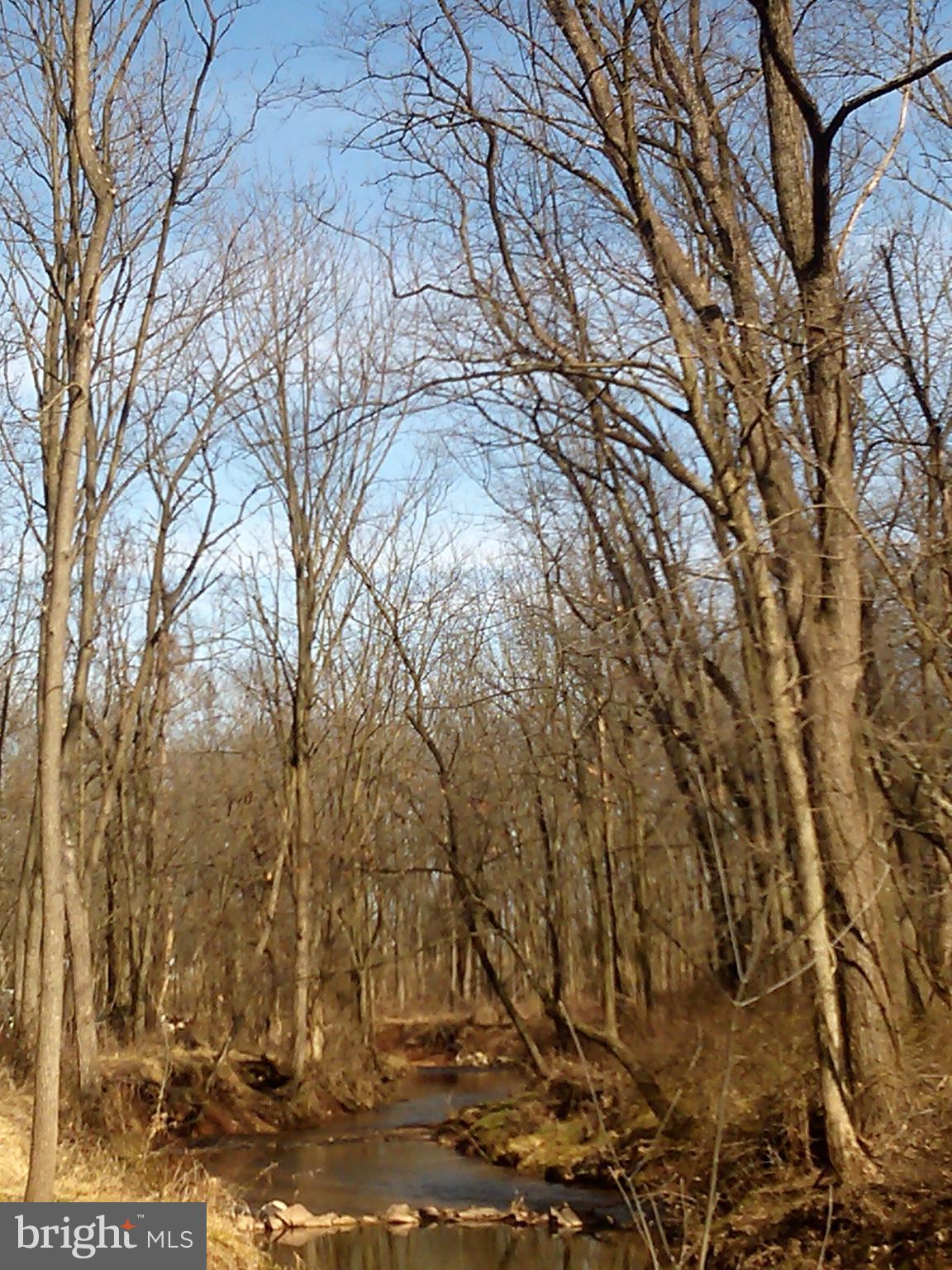 4602 East Berlin Road Thomasville, PA 17364 - Photo 39 of 42 Winter creek.
