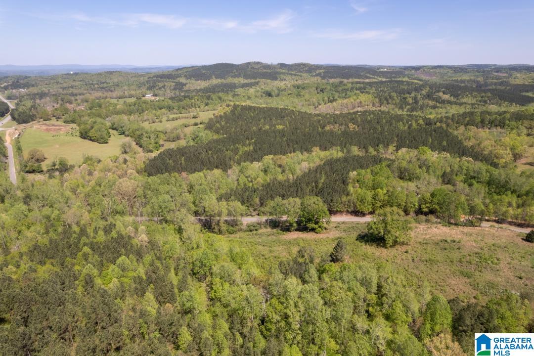 0 Highway 431, Unit 1 Wedowee, AL 36278 - Photo 7 of 10