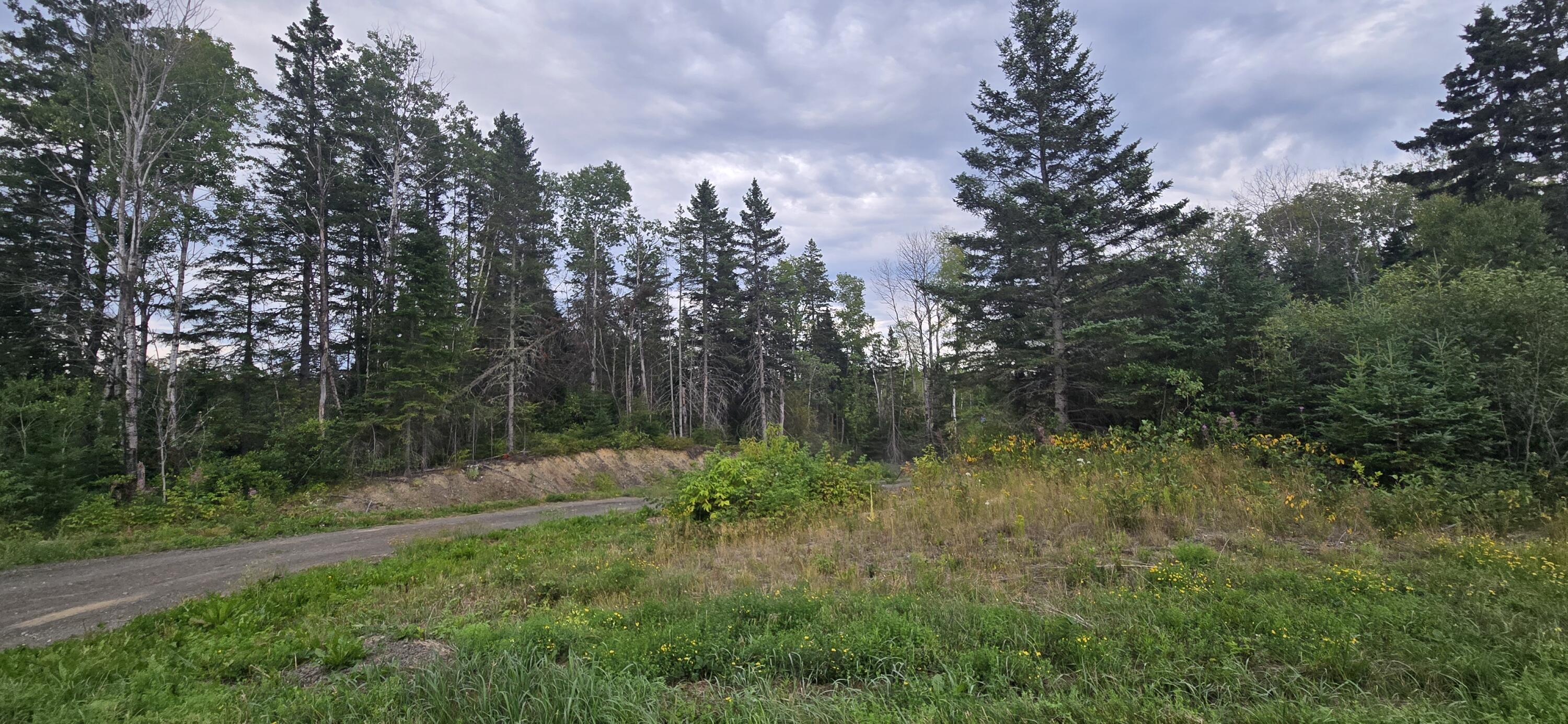 Map23 Map23 Lot33 St. David, ME 04773 - Photo 4 of 8 20260810_172547