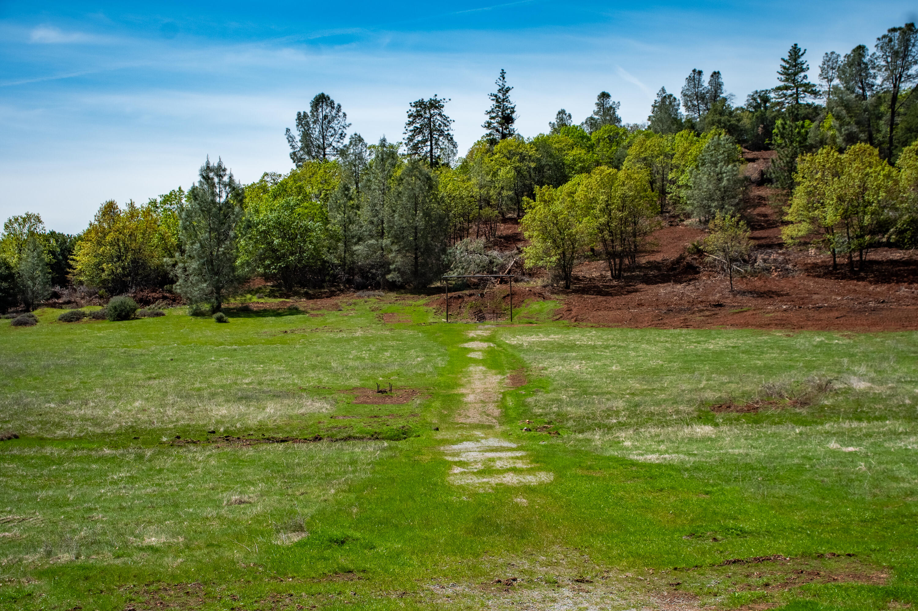 14388 Fern Road Whitmore, CA 96096 - Photo 40 of 44 46 Bear mtn