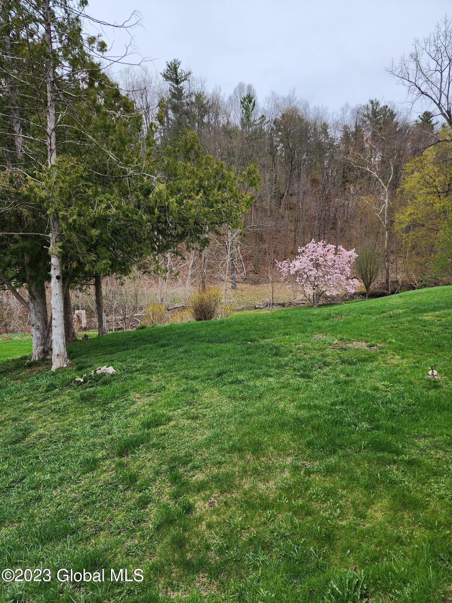 159 Gorge Road Middleburgh, NY 12122 - Photo 22 of 25 20230419_131835