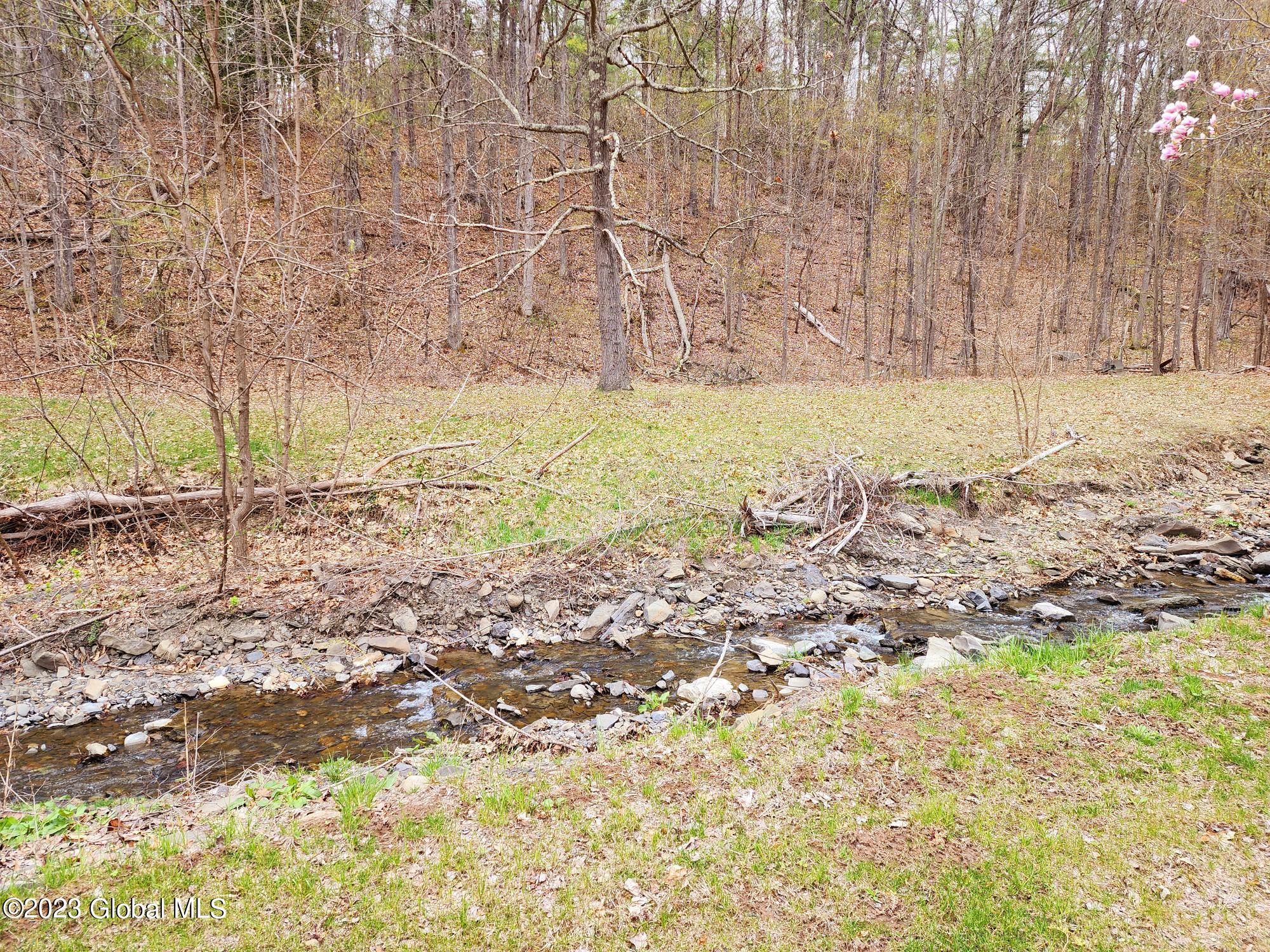 159 Gorge Road Middleburgh, NY 12122 - Photo 25 of 25 20230419_131921