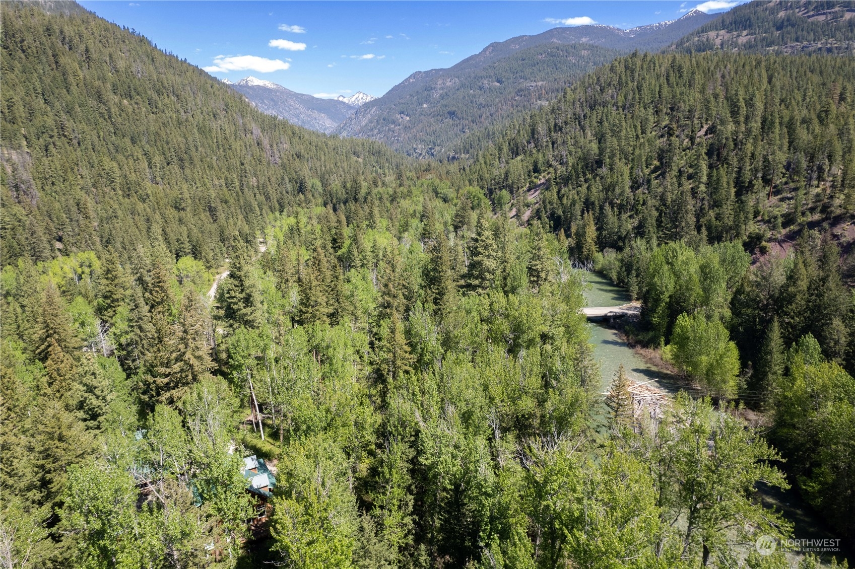 699 Lost River Road Mazama, WA 98833 - Photo 6 of 40 a view of a lush green forest with lots of trees