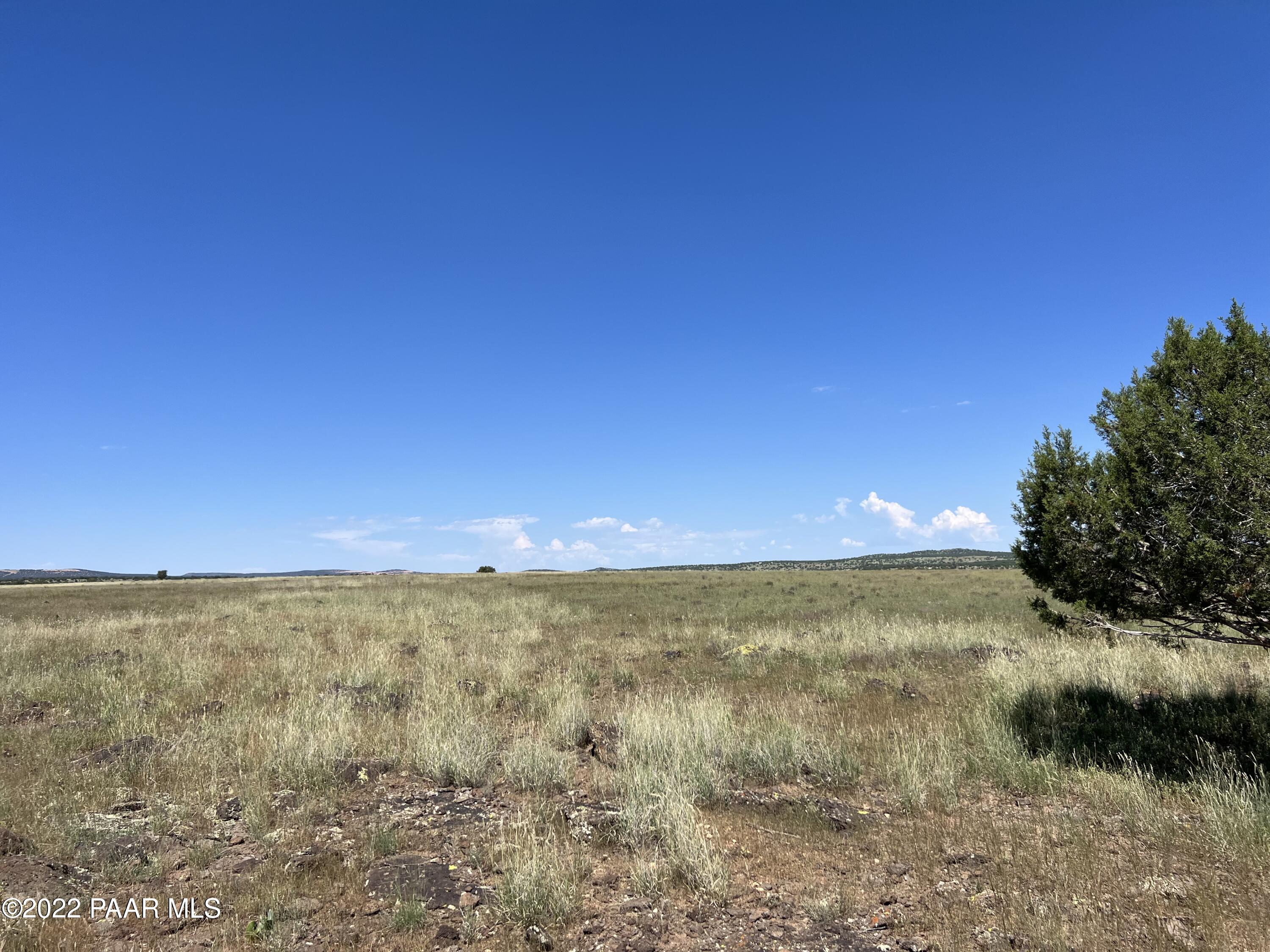 S2-90 Lowe Ranch Road Ash Fork, AZ 86320 - Photo 5 of 6 IMG_1546