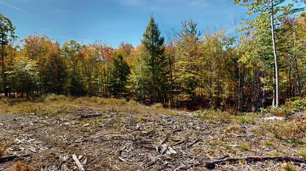 $94,000 | Lot 21 B Station Road, Hebron, ME 04238