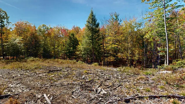 $99,000 | Lot 21 B Station Road, Hebron, ME 04238