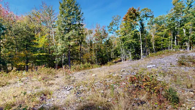 $99,000 | Lot 21 B Station Road, Hebron, ME 04238