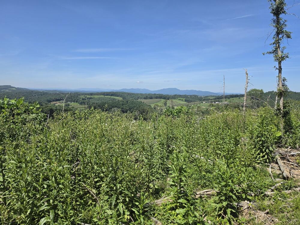Tbd Savannah Road Galax, VA 24333 - Photo 12 of 13 Gallery Image 12