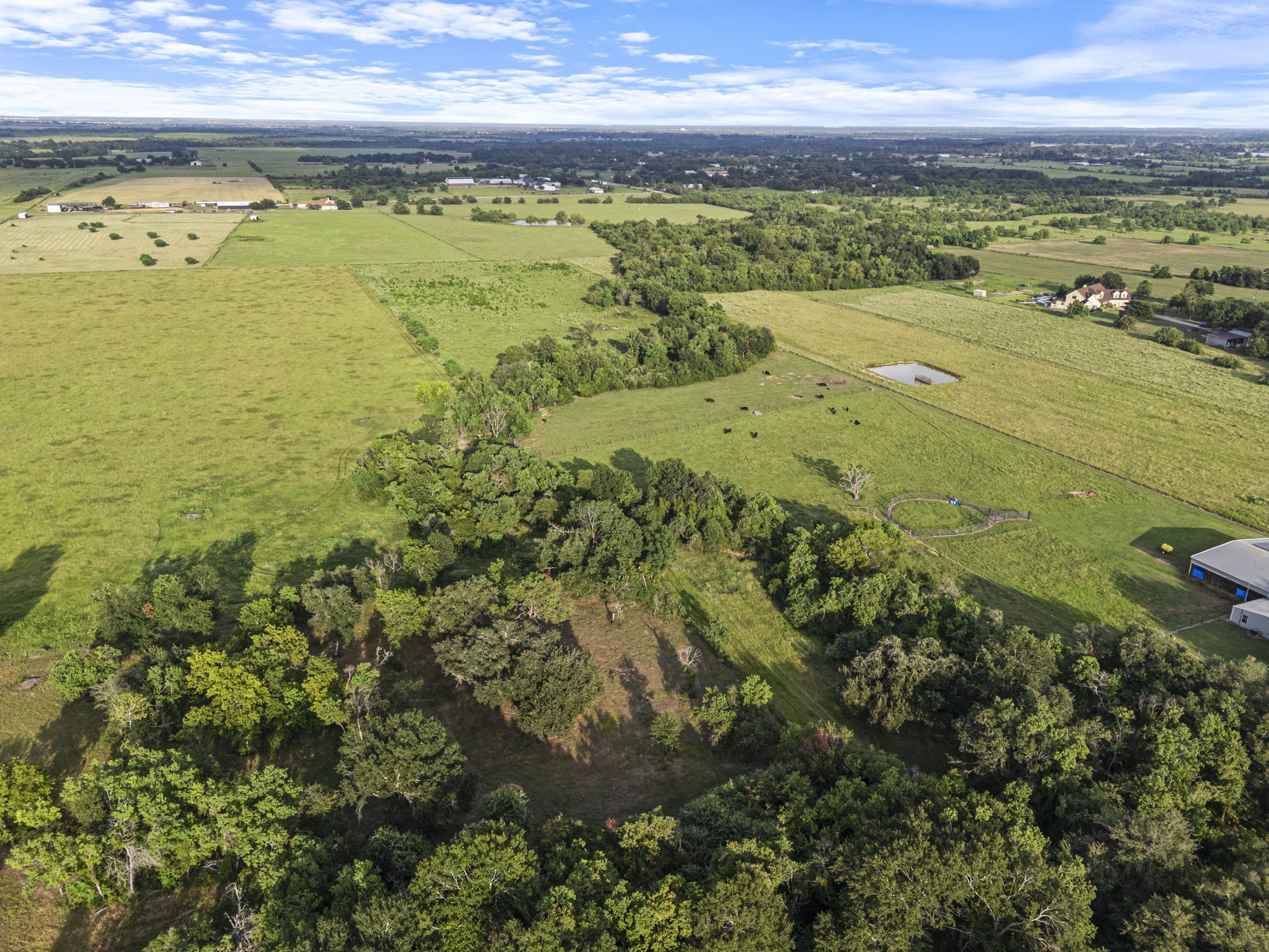 15610 Penick Road Waller, TX 77484 - Photo 24 of 49
