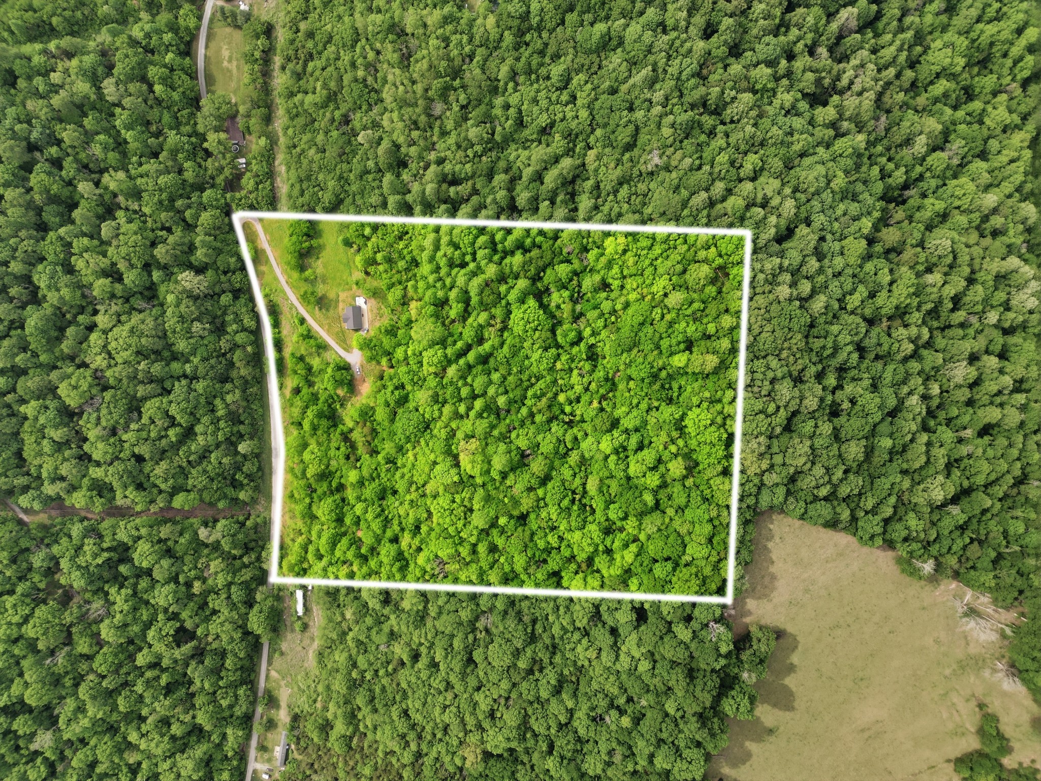 78 Dog Branch Road Pleasant Shade, TN 37145 - Photo 47 of 48 Gallery Image 47