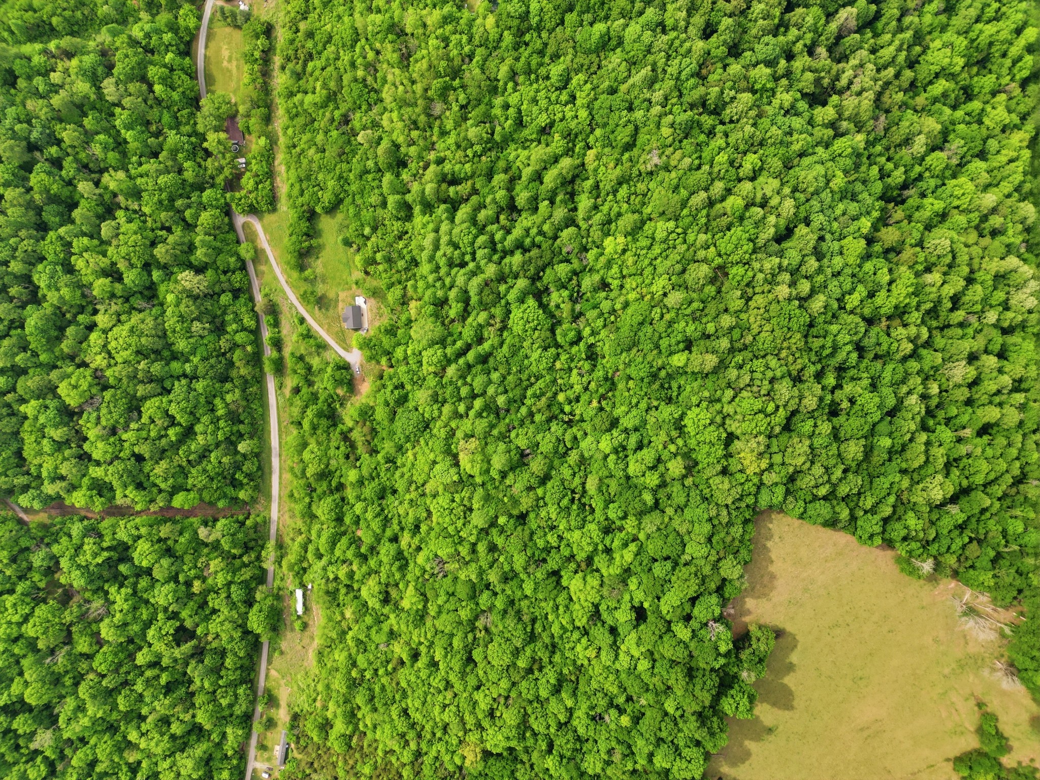 78 Dog Branch Road Pleasant Shade, TN 37145 - Photo 48 of 48 Gallery Image 48