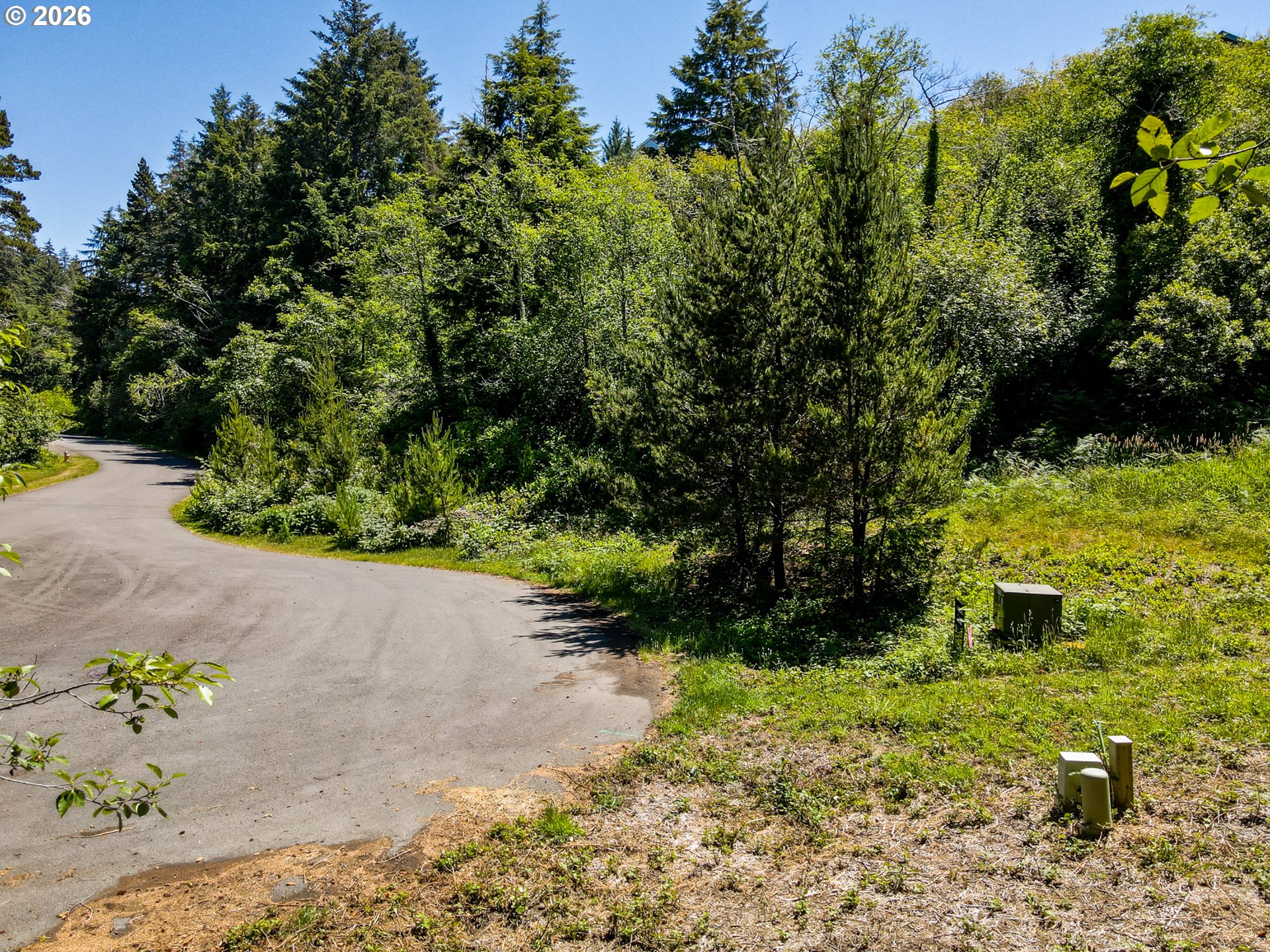 15 Dewolf Road, Unit LOT 15 Nehalem, OR 97131 - Photo 4 of 25