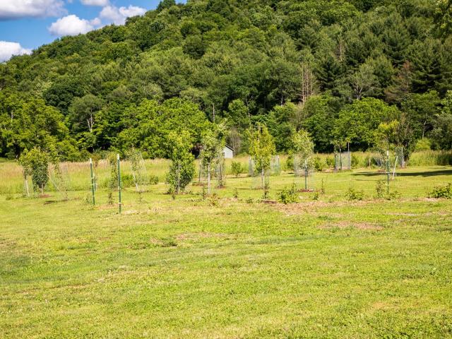 562 Old Garland Road Pittsfield, PA 16340 - Photo 64 of 85 Gallery Image 64