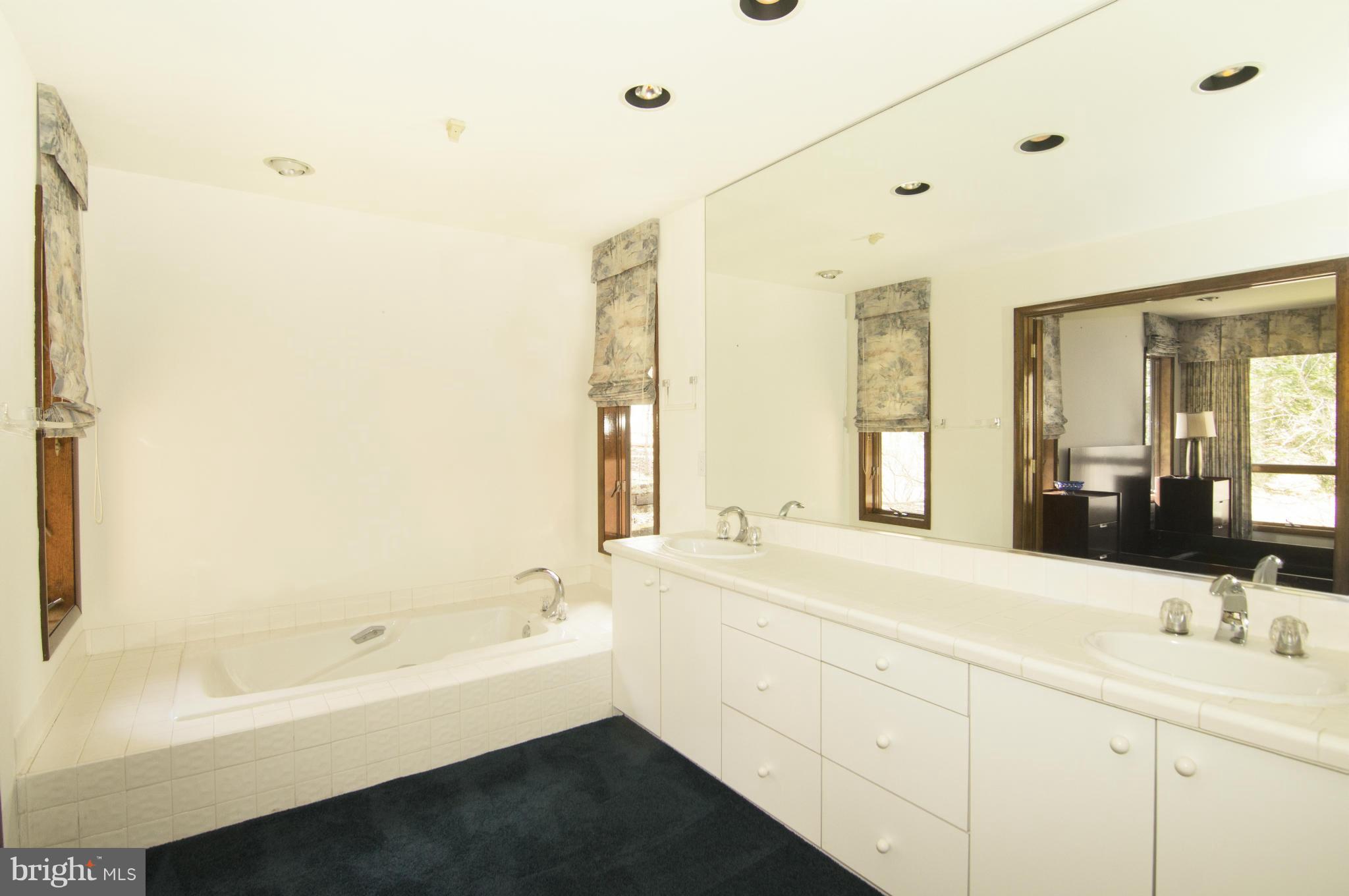 13815 Cuba Road Cockeysville, MD 21030 - Photo 28 of 30 Bath (Master)