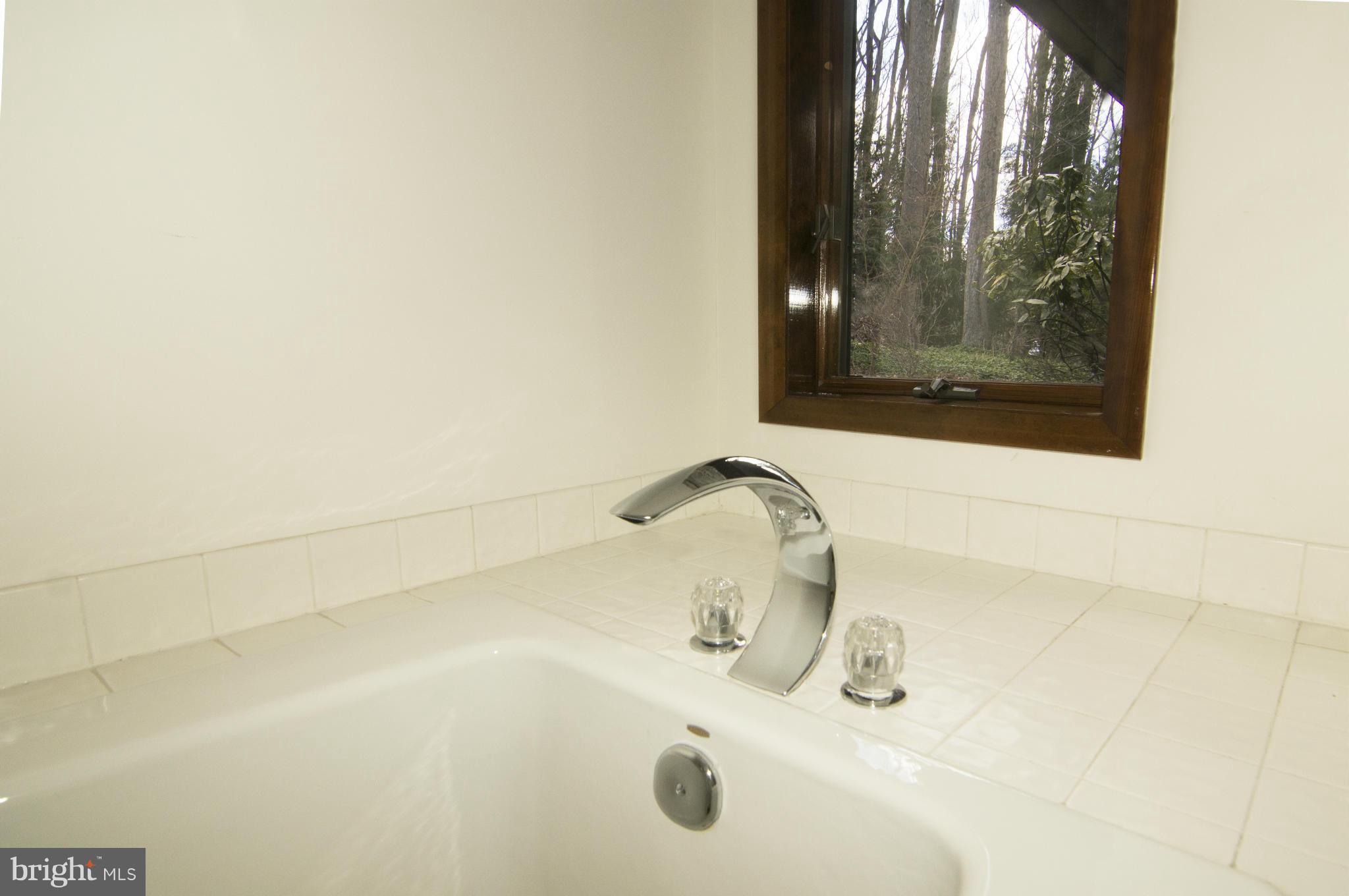 13815 Cuba Road Cockeysville, MD 21030 - Photo 29 of 30 Bath (Master)