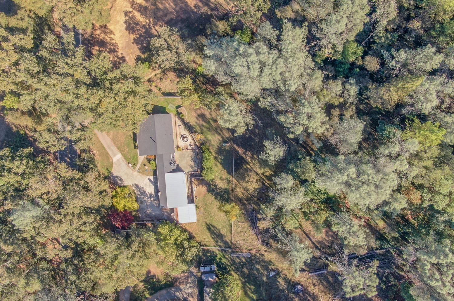 17542 Climax Road Jackson, CA 95642 - Photo 82 of 86
