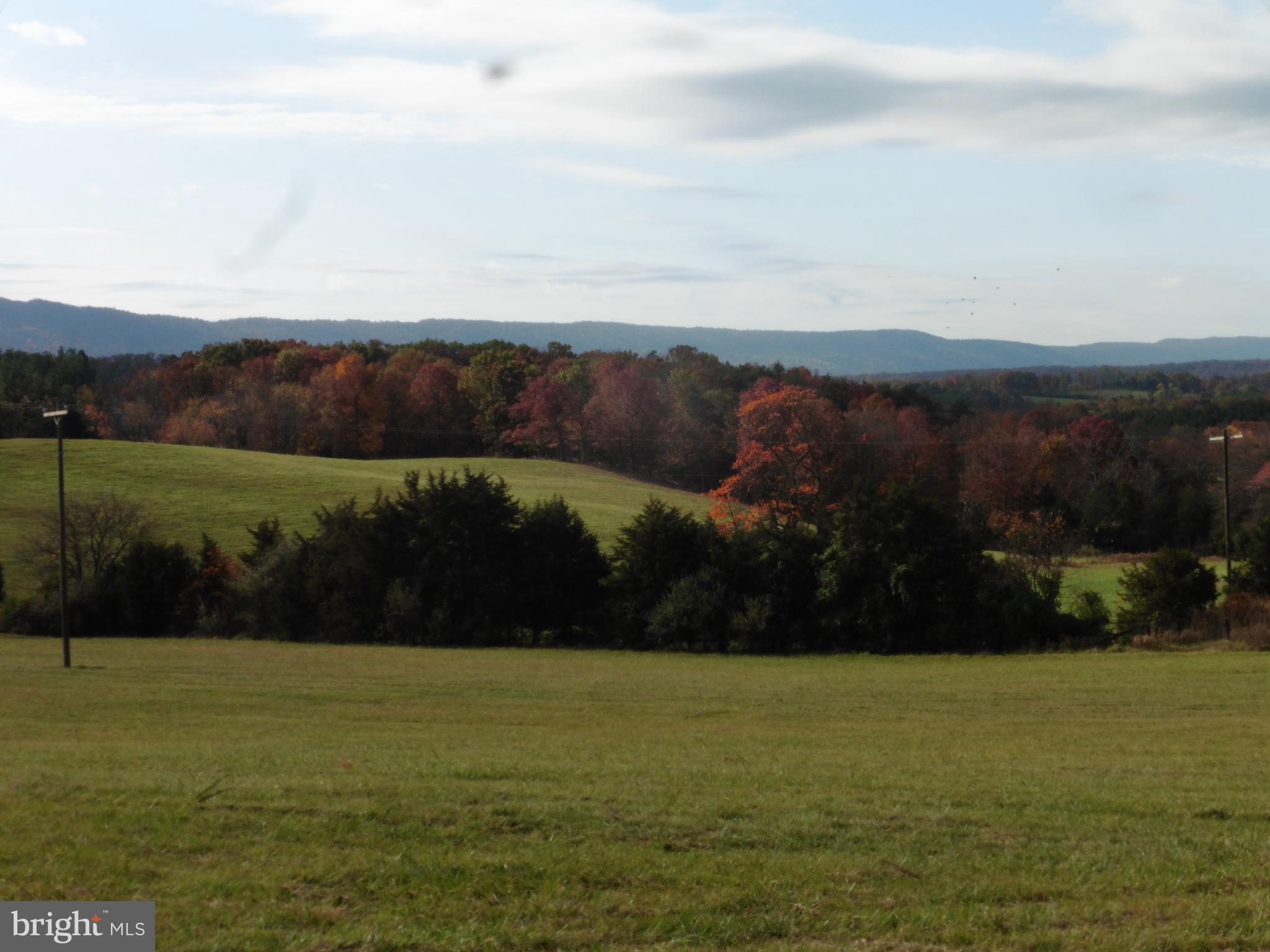 2050 South Pifer Road Star Tannery, VA 22654 - Photo 31 of 33 Gallery Image 31