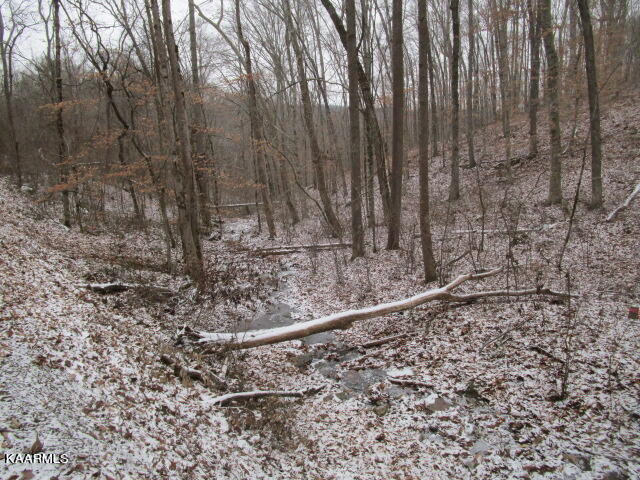 Nicely Ridge Circle Washburn, TN 37888 - Photo 3 of 7 IMG_3626