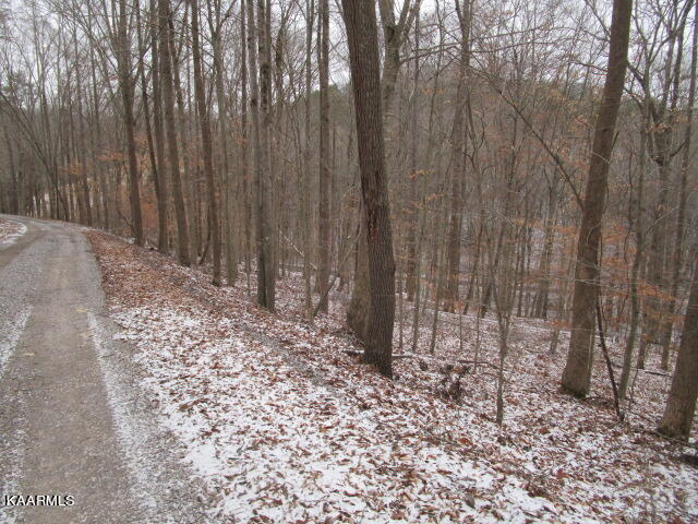 Nicely Ridge Circle Washburn, TN 37888 - Photo 4 of 7 IMG_3623