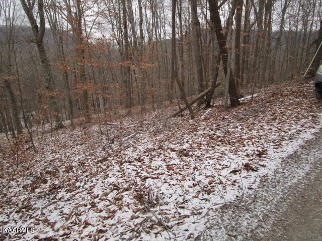 Nicely Ridge Circle Washburn, TN 37888 - Photo 5 of 7 IMG_3624